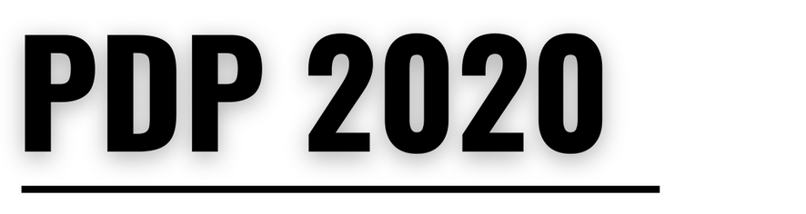 PDP 2021 4